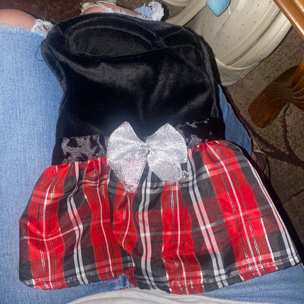 Christmas dress for small dog